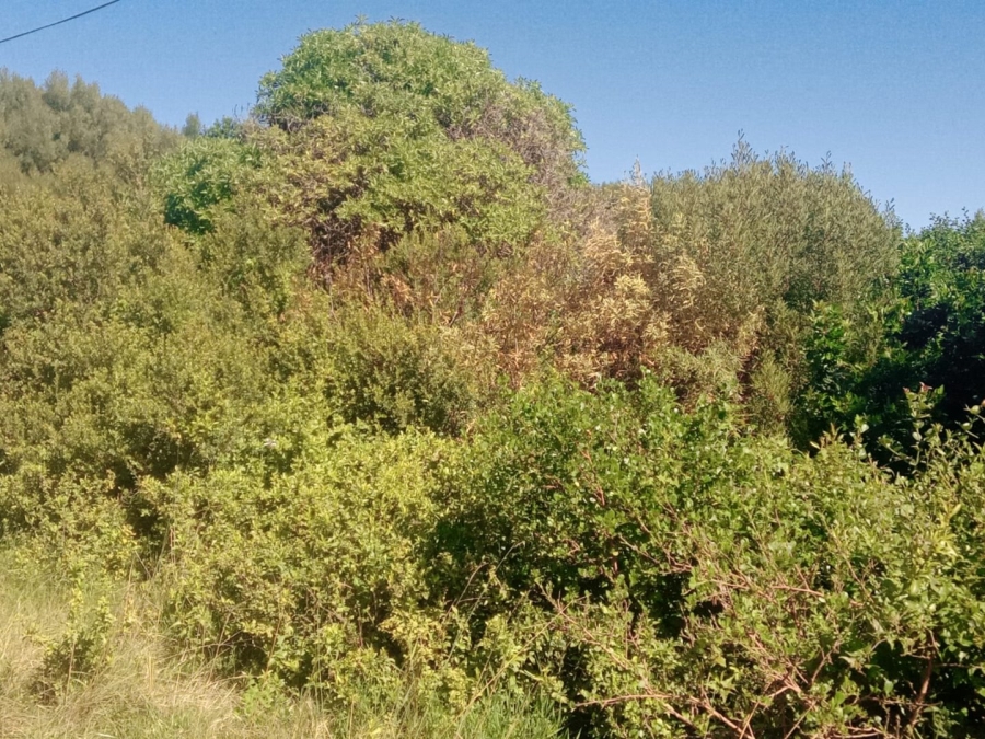 Commercial Property for Sale in Paradise Beach Eastern Cape
